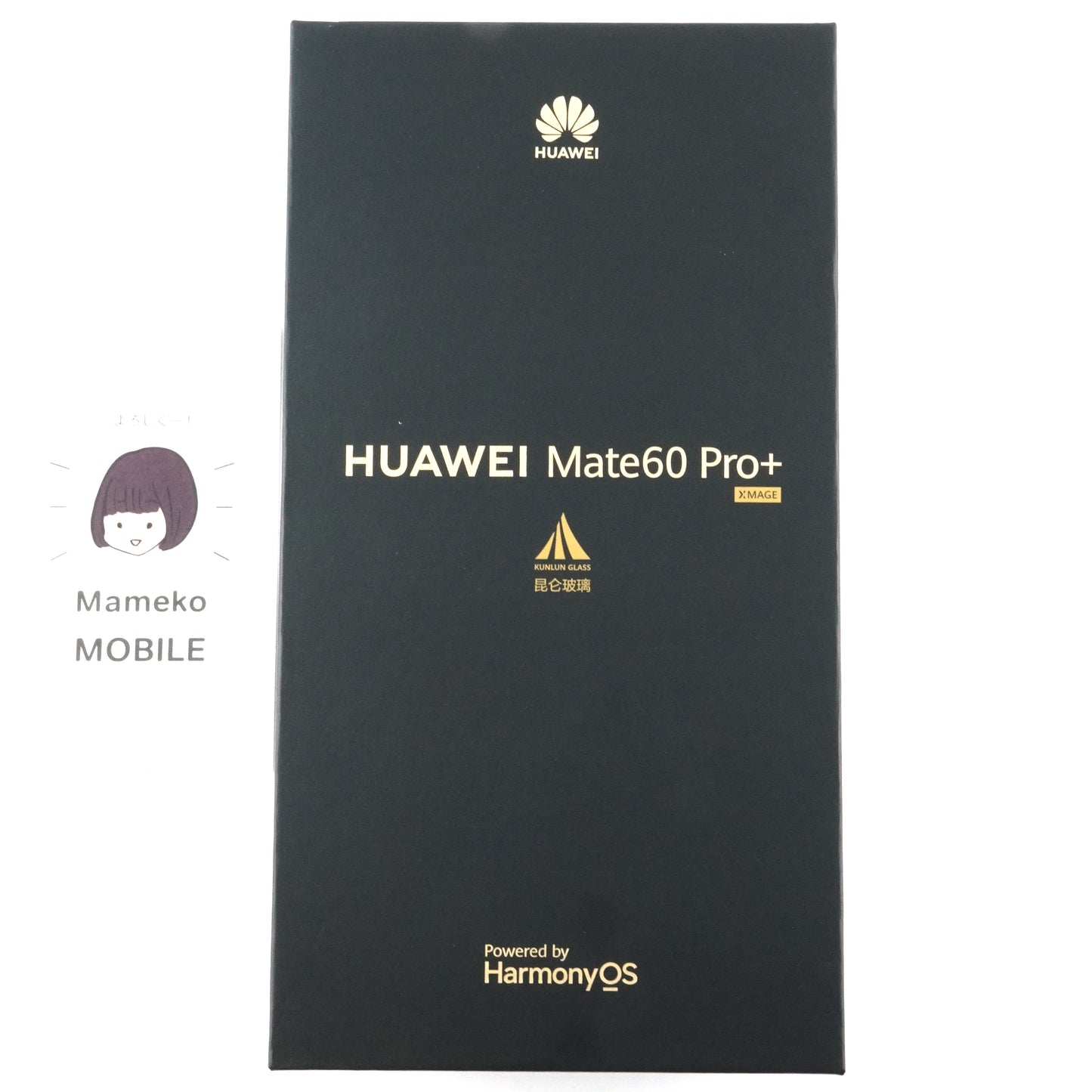 A--ランク HUAWEI Mate 60 Pro+ 16GB/1TB Black ALN-AL10 中国版【90日保証】