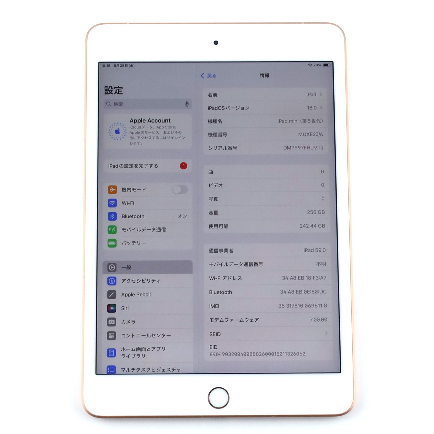 A-ランク iPad mini（第5世代）Cellular 256GB ゴールド MUXE2J/A 国内版【90日保証】
