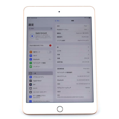 A-ランク iPad mini（第5世代）Cellular 256GB ゴールド MUXE2J/A 国内版【90日保証】