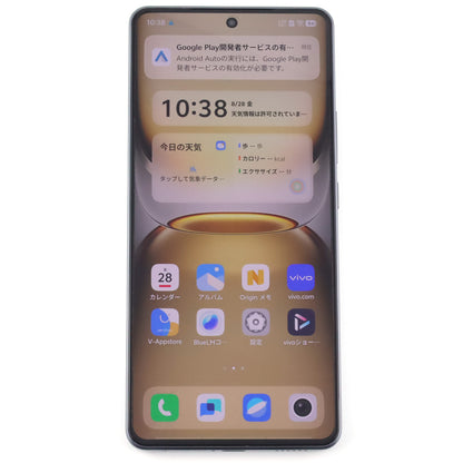 Bランク iQOO Z10 Turbo+ 12/256GB Gray V2507A 中国版【90日保証】