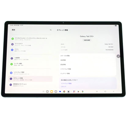 Aランク Galaxy Tab S10+ 12/256GB MoonStoneGray SM-X820 国内版【90日保証】