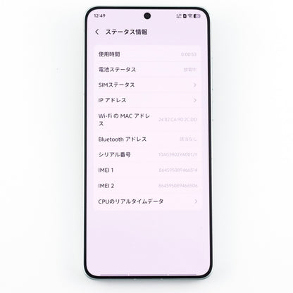 A-ランク vivo X300 Ultra 16/512GB Green V2547A 中国版【90日保証】