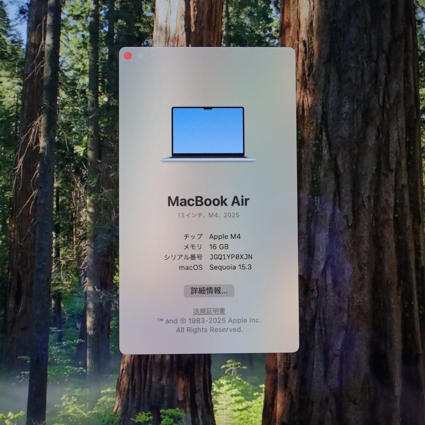 A-ランク MacBook Air M4チップ 16/512GB MC6U4J/A A3240 国内【90日保証】