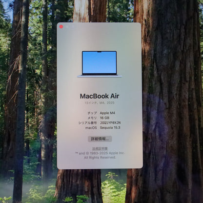 A-ランク MacBook Air M4チップ 16/512GB MC6U4J/A A3240 国内【90日保証】